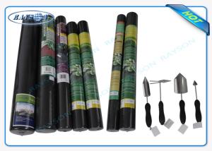 Quality 100% PP Raw Non Woven Landscape Fabric Protect Plant / Garden / Fruit / Weed Control wholesale