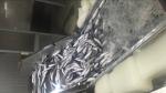 BRC Approved 60g 80g Scomber Japonicus Fresh Frozen Mackerel