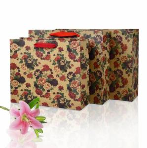 Quality Eco Friendly Simple Style Custom Printed Paper Bag Highly Durable wholesale