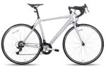25Cx700C Road Bike Disc Brake 14 Speed Chromoly