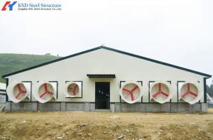 Quality Steel Structure Chicken House Feeding System for Broiler Chicken Shed wholesale