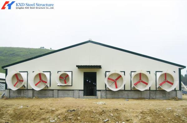 Steel Structure Poultry Shed Agricultural Farm Broiler Chicken Farm Environment