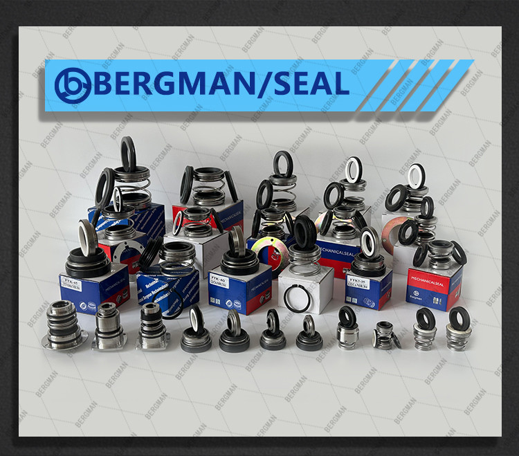 BERGMAN 560B Pump Mechanical Seal SS304 SS316 Metal
