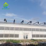 Tropical Multi Span Polytunnel Plastic Film Berry Greenhouse With Hydroponic