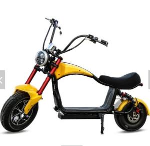Quality New arrive high quality wholesale citycoco 1000w wide wheel off road electric motorcycle with CE certificate wholesale