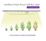 Lm301h LED Bar Grow Lights 1050w Full Spectrum Waterproof UV Light Bulbs For