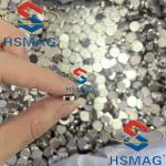 Powerful Magnetic Pumps SmCo Disc Magnet Sm2Co17 Magnet High Temperature