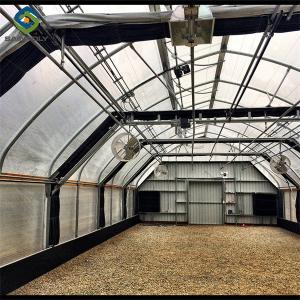 Quality Single Span Black Out Greenhouse Light Deprivation Single Arch Tunnel Greenhouse wholesale