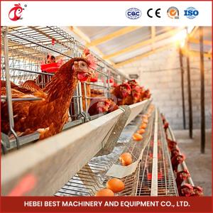 Quality 96 Birds Automatic Chicken Cage Equipment Battery Egg Layer Cage For Laying Hens In Nigeria Iris wholesale