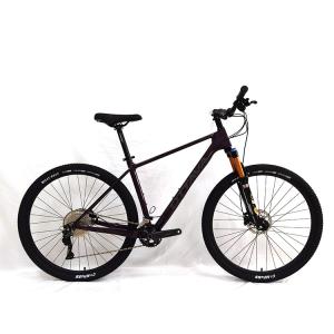 Quality Speed Lightweight Carbon Fibre Road Bike With Single Speed Gears wholesale