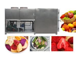 Quality PLC 100kg Vacuum Freeze Drying Machine 10 Square Meters 33Kw wholesale
