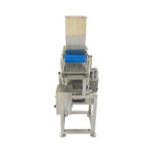 Quality Automatic Coconut Seeds Spreading Machine 304 Stainless Steel Food Granule Spreader wholesale