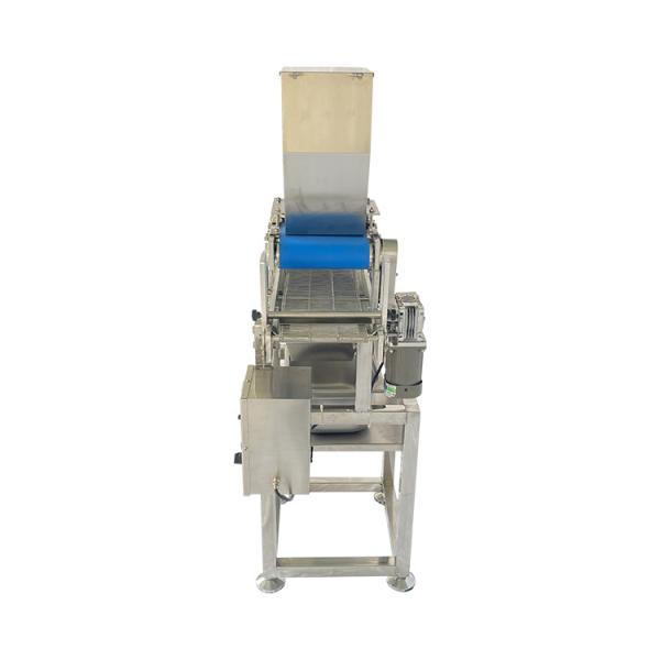 Automatic Coconut Seeds Spreading Machine 304 Stainless Steel Food Granule