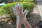 PE Household Daily Oil Proof 0.6g Disposable Hand Gloves