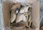 Golden Pomfret Fish Whole Round 300G 400G Fresh Frozen Seafood