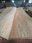 sell Dillenia face veneer