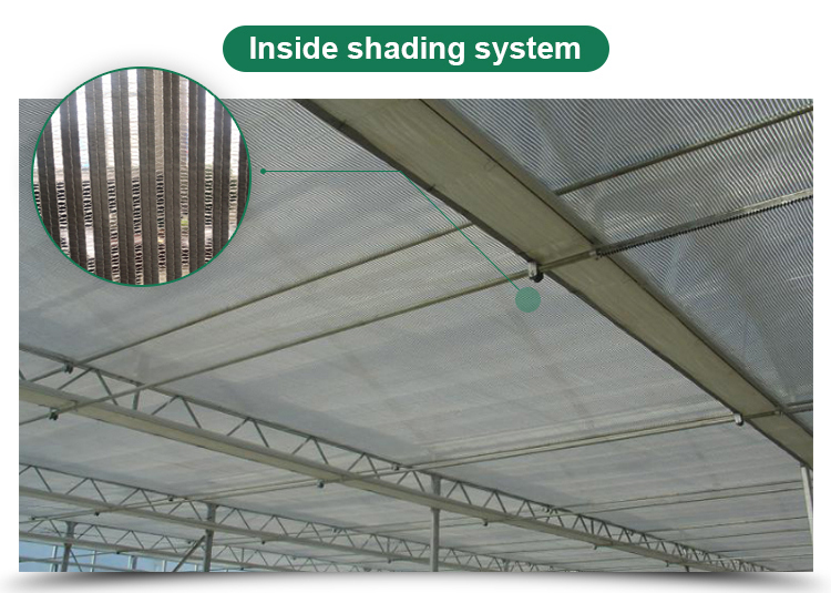 95% Transmittance Agricultural Plastic Film Greenhouse With Film Cover Material