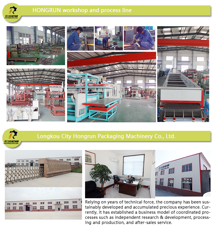 PS Foam Bowl Thermoforming Machine Food Box Production Line HR-1000/1100