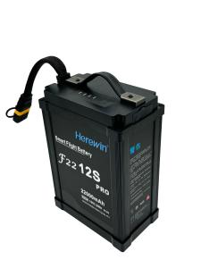 Quality 12s 22000mah Smart Agriculture Drone Li Ion Battery Pack High Capacity Lithium Battery For UAV wholesale