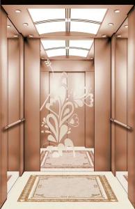 Quality ORIA mordenized home resident home Villa elevator wholesale