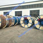 IEC60502 PVC Insulated Cable Xlpe Insulated Pvc Sheathed Cable 0.6 / 1KV