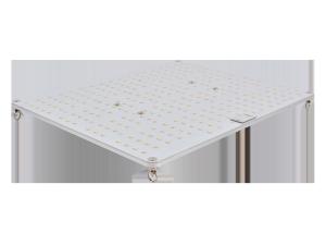 Quality SMD 5730 730nm Quantum Led Grow Lights For Fruit wholesale