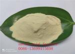 Free Amino Acid 80% Hydrolysed Soy Protein With REACH Registration