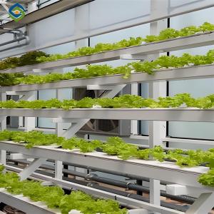 Quality ISO Certification Commercial Hydroponic Greenhouse For Agriculture Anti Corrosion wholesale
