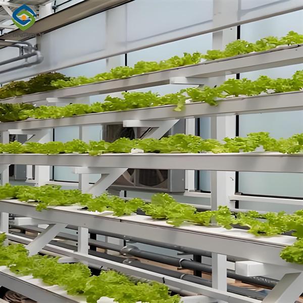ISO Certification Commercial Hydroponic Greenhouse For Agriculture Anti