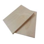 Full Hardwood Core MR 12mm Film Faced Birch Plywood