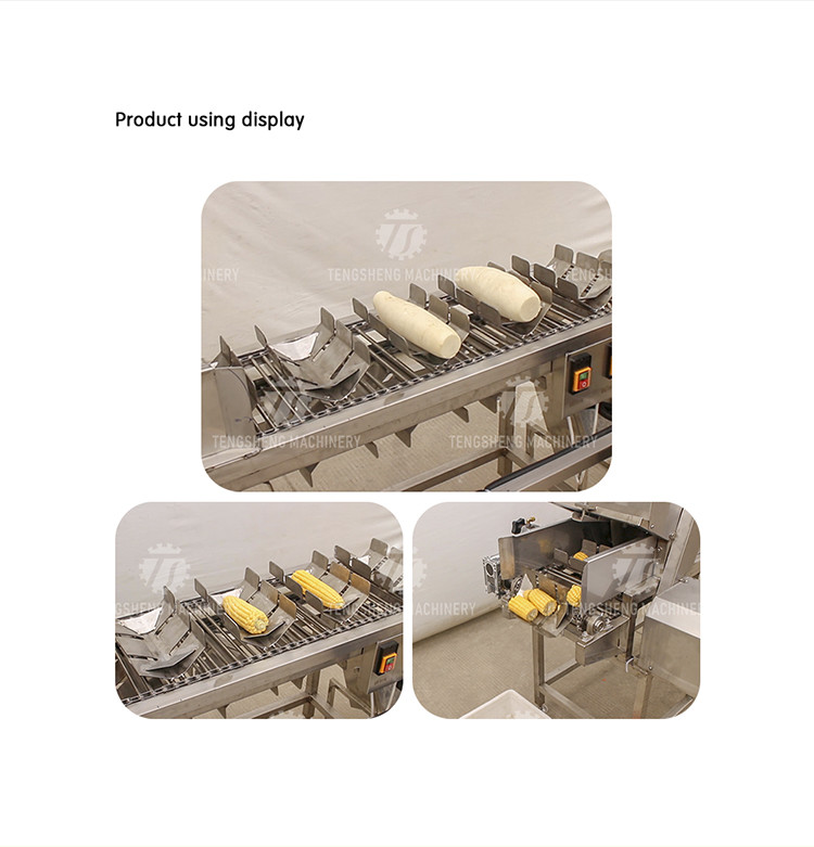 380V 150KG Luffa pumpkin asparagus cucumber lettuce bitter melon slicing machine specifications can be fixed