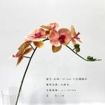 Long Lasting Colorful Artificial Flower Branch Phalaenopsis Aphrodite 83 Cm