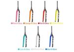 T800 Carbon Mountain Bike Fork 29er Thru Axle Carbon Fiber Disc Brake