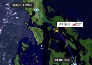 Quality Safe Air Cargo International Shipping Cebu International Airport International Freight Forwarder wholesale