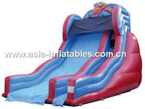 Quality Customized Inflatable Water Slides For Summer In Aqua Park wholesale