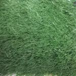 Artificial Grass Soccer Field Outdoor