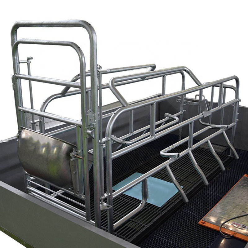 PVC Board Gestating Pig Farrowing Pen 2.5mm Thickness With BMC Slat