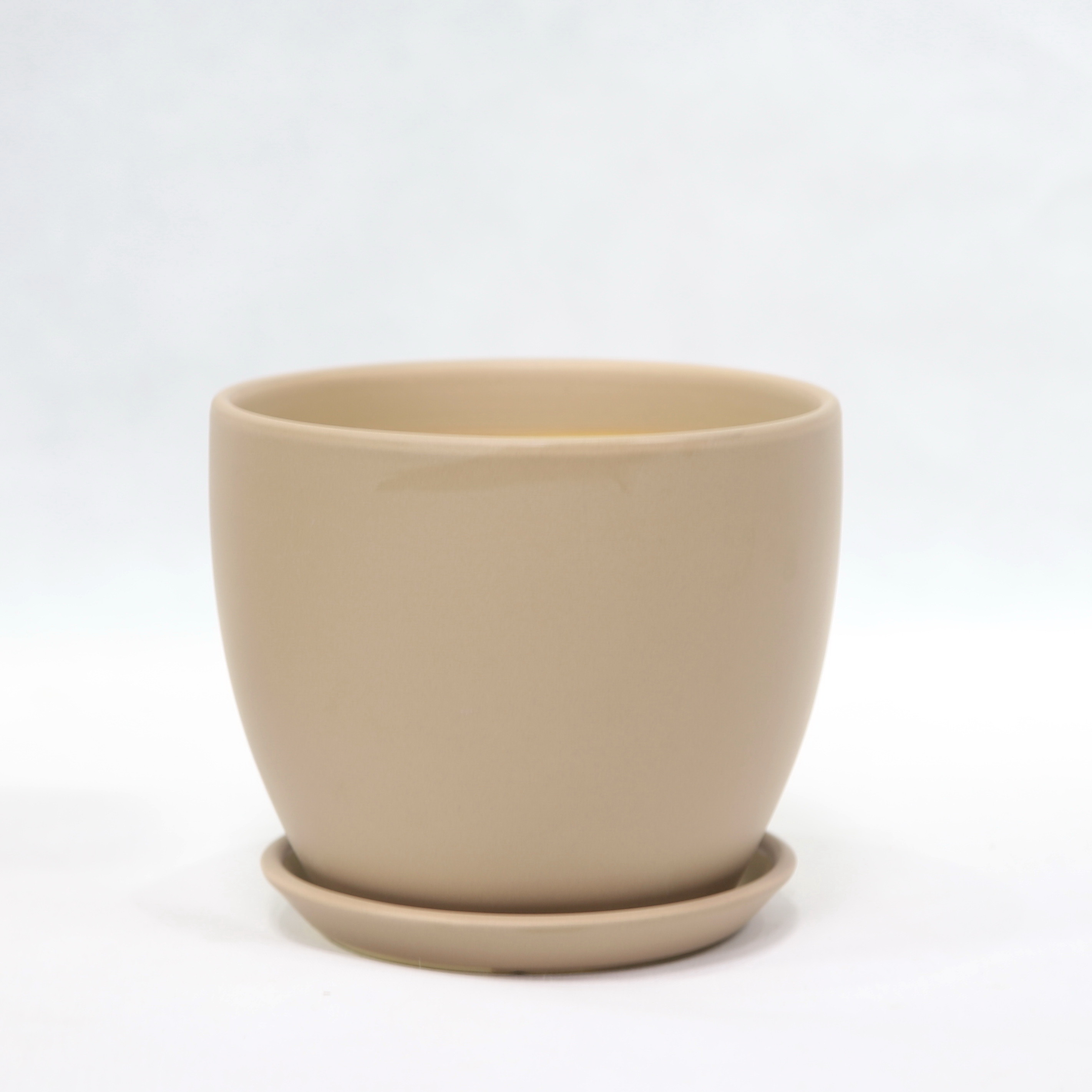 Beauty And Functionality Of Ceramic Pots For Any Plant Shop Small Size