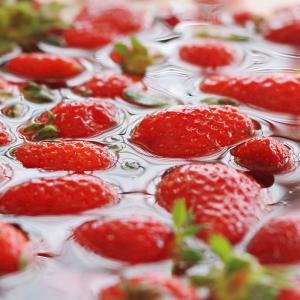 Quality Industrial Fruit Cleaning Machine Automatic Strawberry Washing Machine wholesale