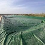 Construction Material Hdpe Liner Sheet Swimming Pool Liner Plastic Sheet