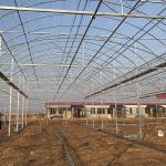 Roof Height 4.8-7.8m 200 Micron UV Resistant Plastic Film Greenhouse for