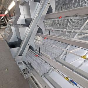 Quality Automatic 3 Tiers Battery Steel Chicken Cage Good Isolation wholesale