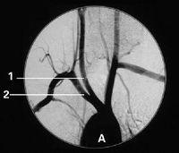 Quality Konida Medical X Ray Films wholesale