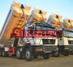 8x4 40 - 50 Tons Heavy Duty Dump Truck MAN F2000 F3000 Cabin Strong Material