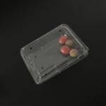 Food Grade Plastic Packaging Boxes Solution Disposable