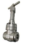 SS304 / 316 SW BW Connection Cryogenic Globe Valve PN320