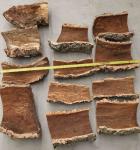 BSCI Natural Color Rough Large Cork Planters Eco Friendly Lightweight
