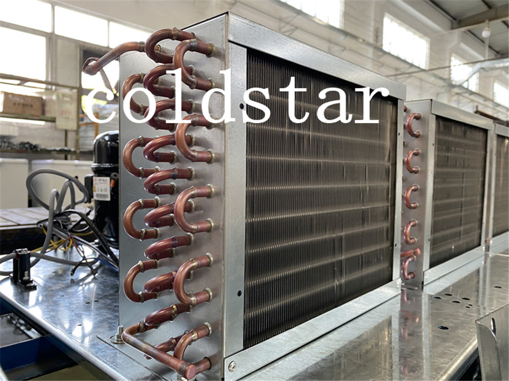 Commercial Single Door Ice Storage Merchandiser With Sticker