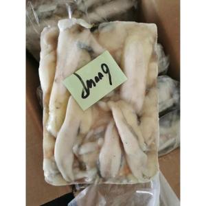 Quality TONGZHONGHE SEAFOOD White Block Quick Frozen Illex Squid Egg 2.5kg/Bag For Thailand Market wholesale