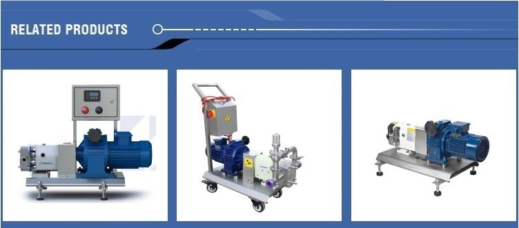 316L Horizontal TUL Lobe High Purity Pumps with Explosion proof Motor Clamp End Connection